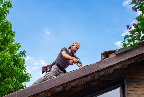 Best Roof Moss and Algae Removal  in Oak Grove, MO